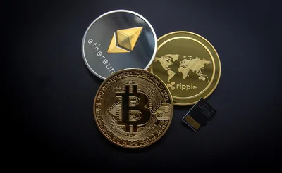 Coinfalcon en 2026 : découvrez la nouvelle ère du trading de cryptomonnaies