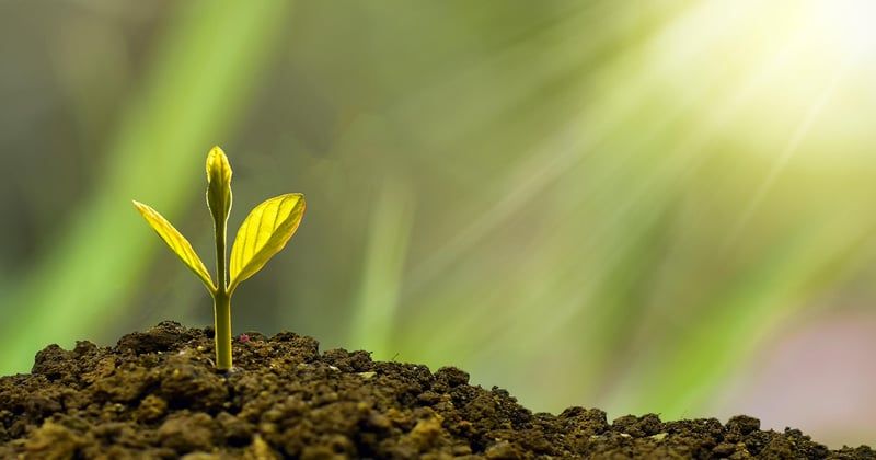Virement permanent au Crédit Agricole : le guide simple pour tout maîtriser